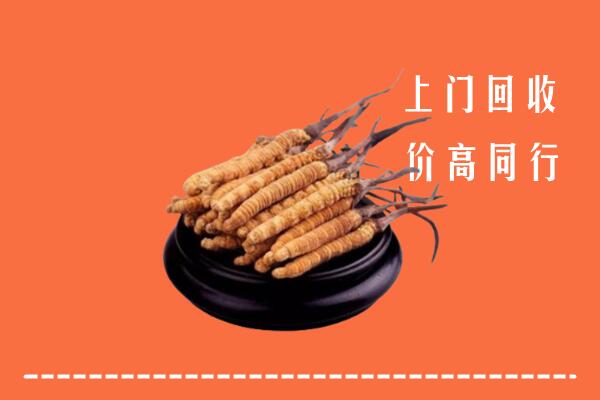 高价求购：那曲市尼玛回收散虫草