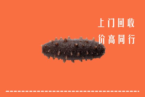 高价求购：那曲市尼玛回收海参
