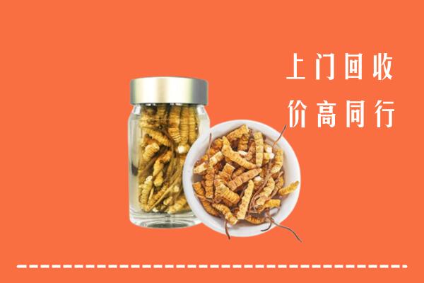 那曲市尼玛回收冬虫夏草